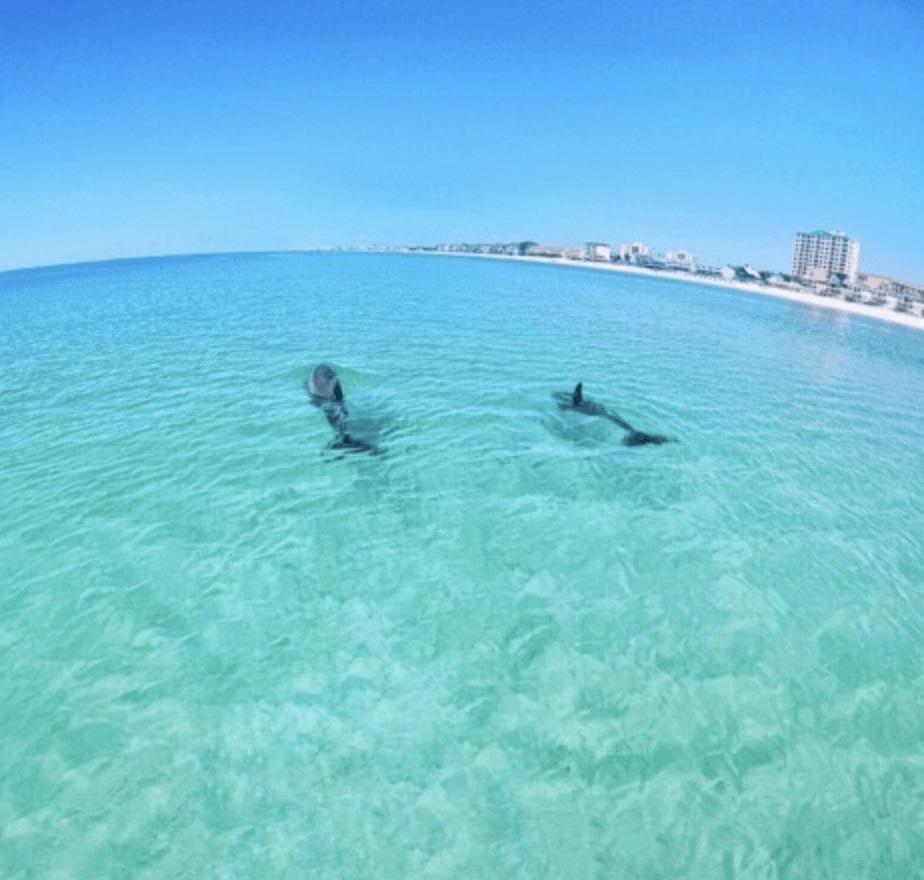 Slt #2043 - Stunning View! Free Beach Service! Destin Exterior foto